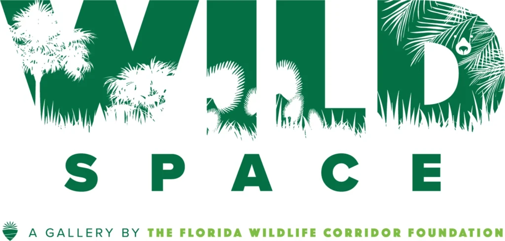 You are invited to Wild Space Gallery