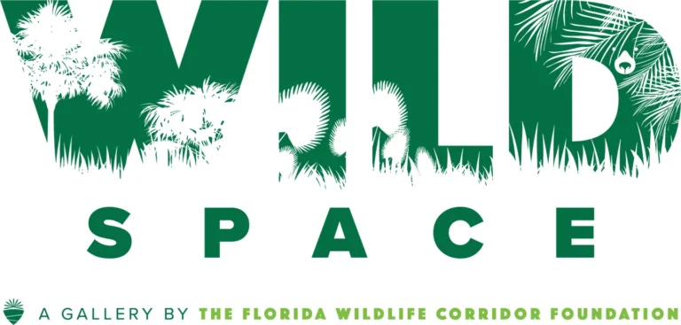 You are invited to Wild Space Gallery