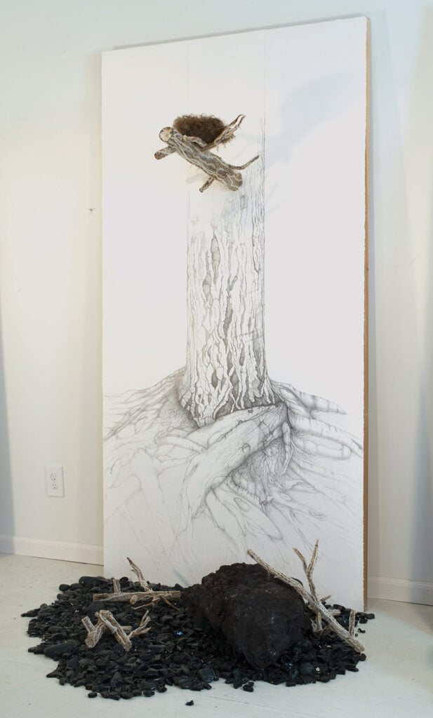 Hair Nest